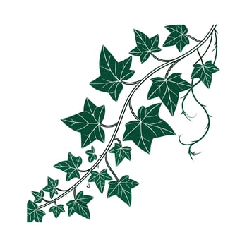 Artistic Ivy Visualization vector