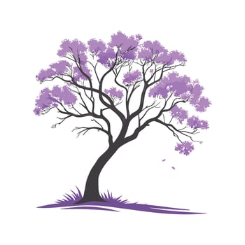 Stylish Jacaranda Plant Illustration vector