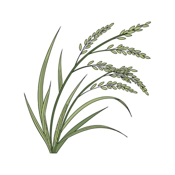 Vibrant Japanese Sedge Artwork on Clean White vector