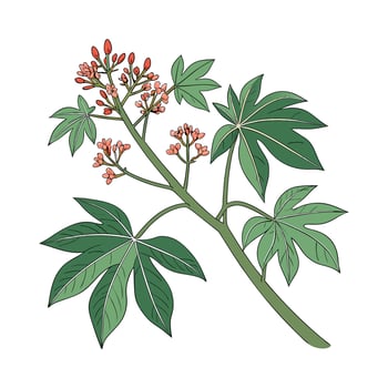 Stylized Jatropha Plant on Clean White Surface vector