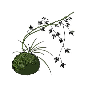 Stylized Kokedama on Clean White Surface vector