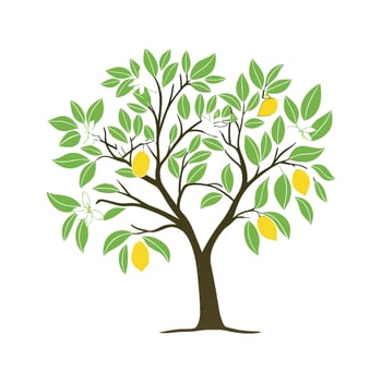Charming Lemon Tree Citrus Limon Illustration vector