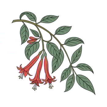 Stylish Lipstick Plant Illustration vector