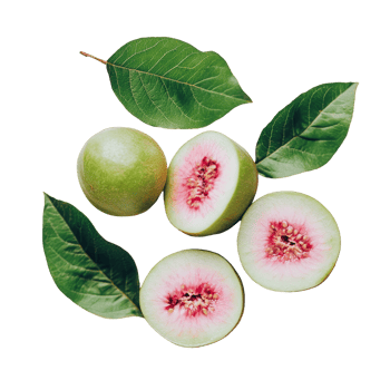 Fresh guava fruit halved with vibrant pink flesh and surrounded by green leaves on a clean transparent background, guava on transparent background png