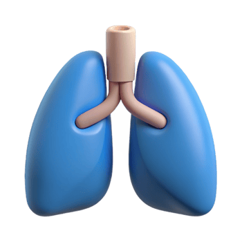 beautiful artistic Mindful Breathing Lungs Icon Isolated genuine png