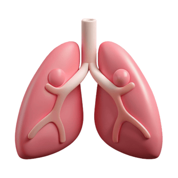 magnificent minimalist Mindful Breathing Lungs Icon Isolated high quality png