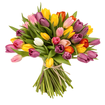 Elegant bouquet of tulips in various colors for a cheerful occasion png