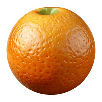 serene contemporary Orange Cutout with Citrus Texture Transparent Background professional png
