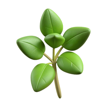 vibrant abstract Oregano Sprig Cutout Transparent Background high resolution png