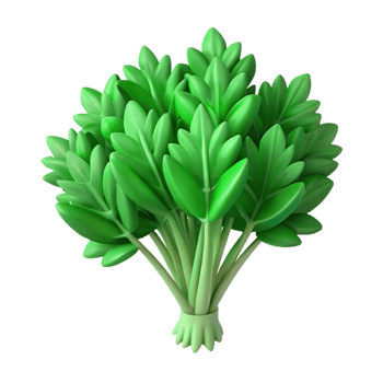 vibrant contemporary Organic Herbs Bunch Green Isolated detailed png