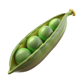wonderful classic Pea Pod Open Cutout Transparent Background genuine png