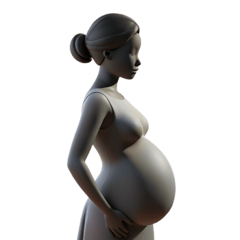 stunning artistic Pregnant Woman Silhouette Gentle Backlight Isolated authentic png