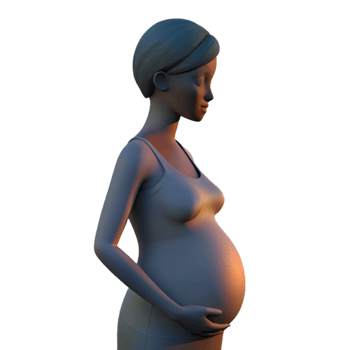 wonderful minimalist Pregnant Woman Silhouette Sunrise View Isolated genuine png