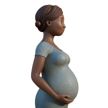 beautiful minimalist Pregnant Woman Silhouette Side View Cutout high resolution png
