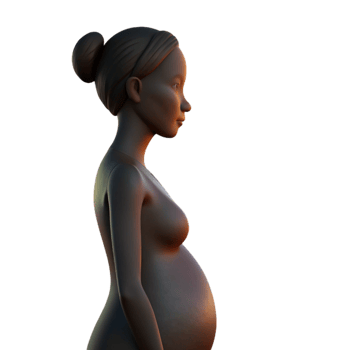 impressive vintage Pregnant Woman Silhouette Sunset View Isolated high resolution png