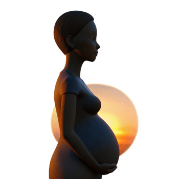 beautiful artistic Pregnant Woman Silhouette Sunset View Isolated original png