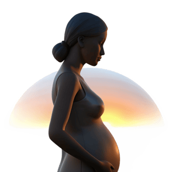 extraordinary rustic Pregnant Woman Silhouette Sunset View Isolated detailed png