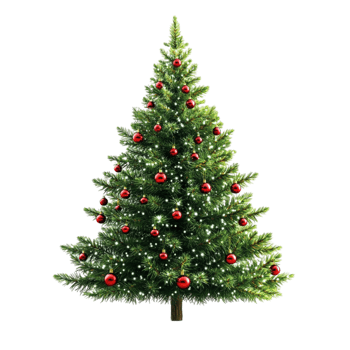 Christmas Tree Transparent Background. png