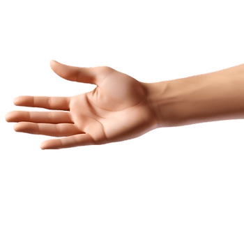 Helping Giving Hand Isolated on Transparent Background png