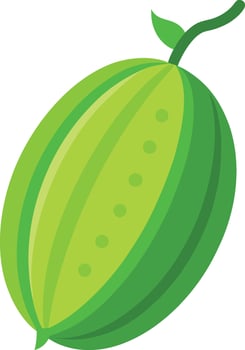 Detailed Bitter Melon Art for Healthy Food Illustrations vector