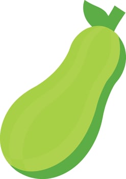 Detailed Bottle Gourd Illustration for Organic Farming vector