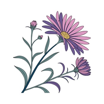 Creative Michaelmas Daisy Illustration Art vector
