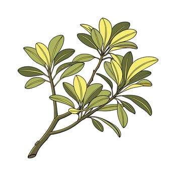 Stylish Mirror Plant Illustration vector