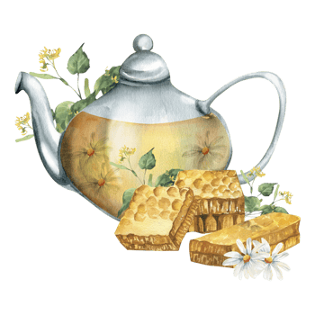 Herbal tea watercolor composition with glass tea pot, chamomile flowers, honeycomb pieces and linden branches illustration. Isolated healthy hot drink clipart,home medicine for packing,logo design png