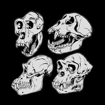 Ape skull hand drawing illustration vector