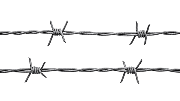 Parallel lines of gray barbed wire stretch horizontally, evenly spaced spines and coiled knots conveying an organized yet restrictive presence png