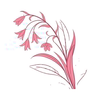 Gorgeous Pink Quill Plant on Clean White Surface vector