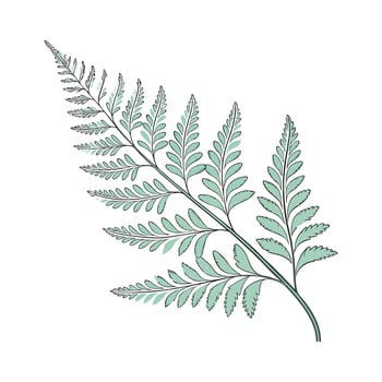 Stunning Rabbits Foot Fern on Clean White Background vector