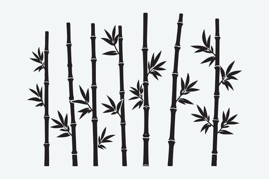 bamboo forest stems, jungle bamboo silhouettes with branches and leaves, decorative illustration set vector