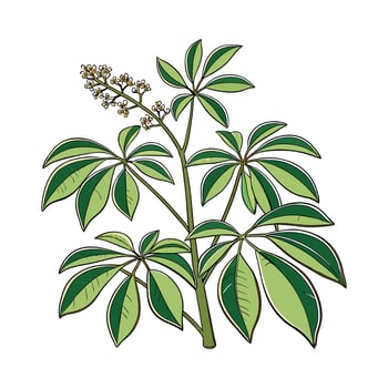 Vibrant Schefflera Plant Illustration vector