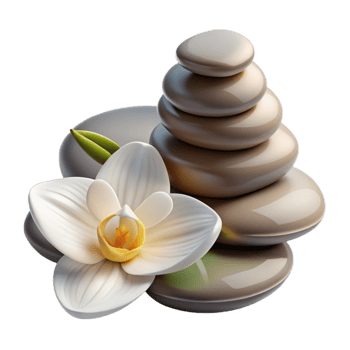 dramatic minimalist Spa Stones and Orchid Flower Cutout professional png