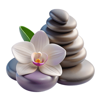 dramatic artistic Spa Stones and Orchid Flower Cutout original png