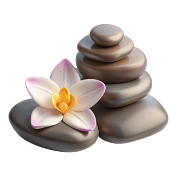 elegant contemporary Spa Stones and Orchid Flower Cutout high quality png