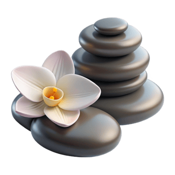 dramatic traditional Spa Stones and Orchid Flower Cutout detailed png