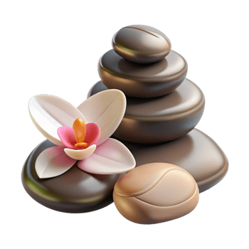 stunning contemporary Spa Stones and Orchid Flower Cutout original png