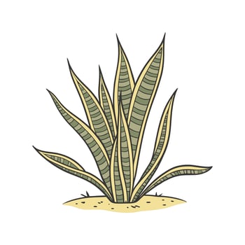 Alluring Snake Plant with Clear Background vector