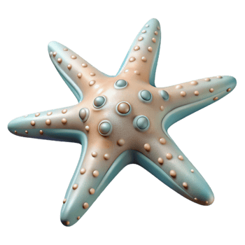 impressive minimalist Starfish Five Arms Transparent high resolution png