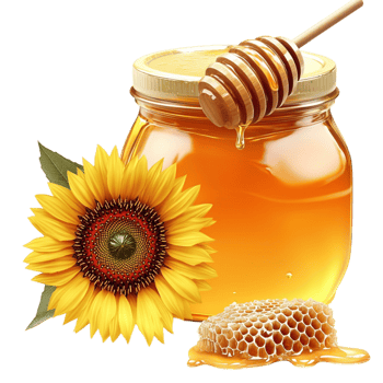 Golden honey jar a wooden dipper a sunflower beside it png