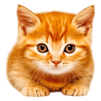 Orange Tabby Kitten with Striking Eyes in a Playful Pose png