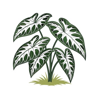 Stylish Syngonium Display in Bright Space vector