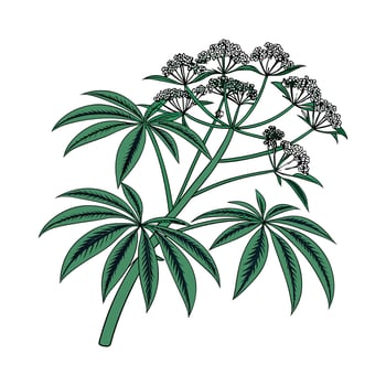 Stylish Umbrella Plant Display on Bright vector