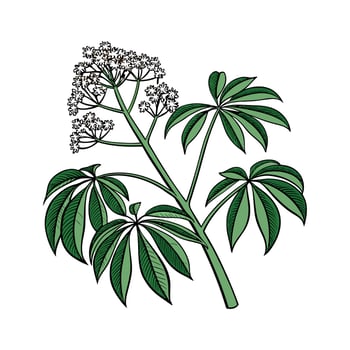 Stylish Umbrella Plant in Bright Space vector