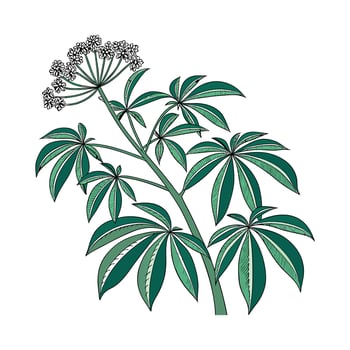 Charming Umbrella Plant Display on Bright vector