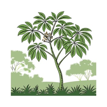 Elegant Schefflera Actinophylla in Bright Space vector
