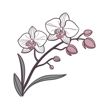 Charming Vanda Orchid in Bright Space vector