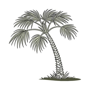 Palm Tree Windmill on White Background vector